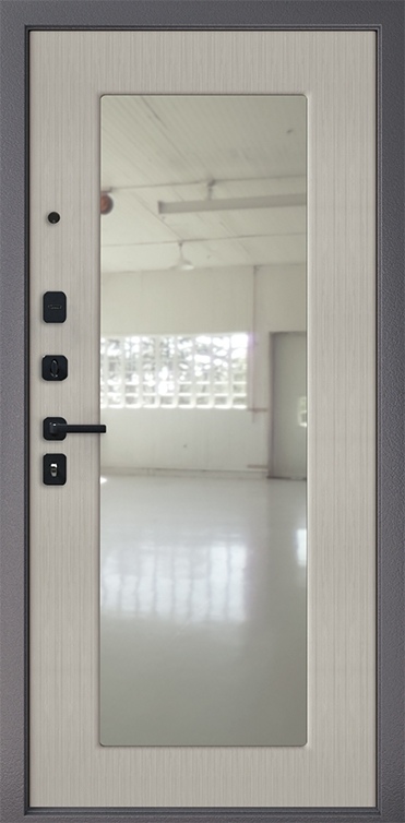 Дверь Acoustic PRO Z 462_2